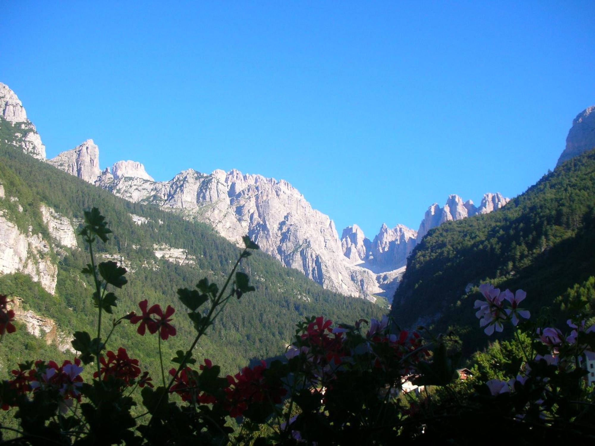 Garni Lago Alpino โมลเวโน ภายนอก รูปภาพ
